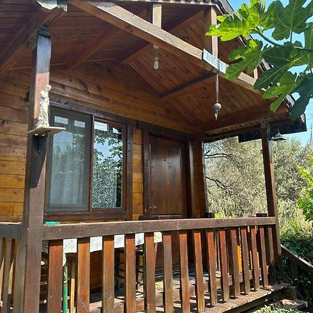 Aparthotel Olimpos Bungalov Apart Balikliova Exteriér fotografie