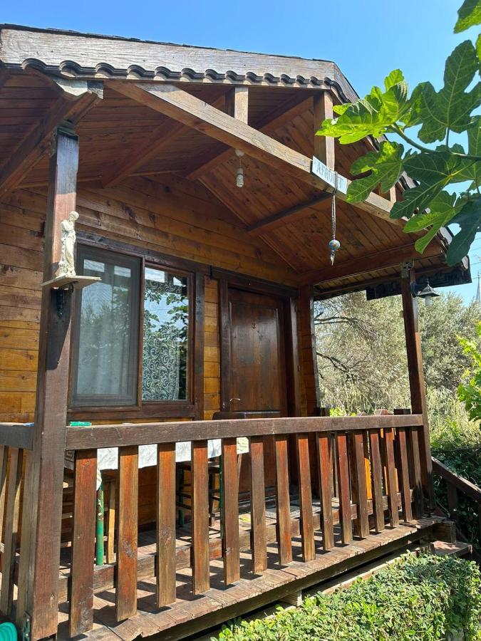 Aparthotel Olimpos Bungalov Apart Balikliova Exteriér fotografie